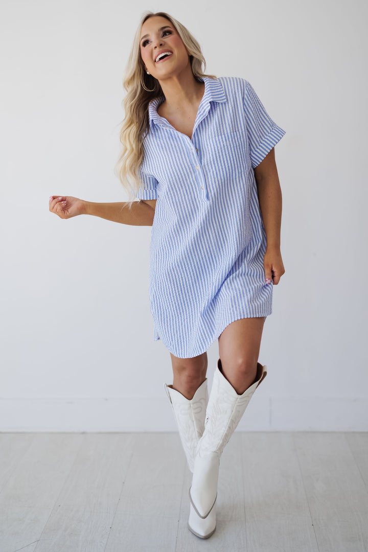 Andrea Shirt Dress