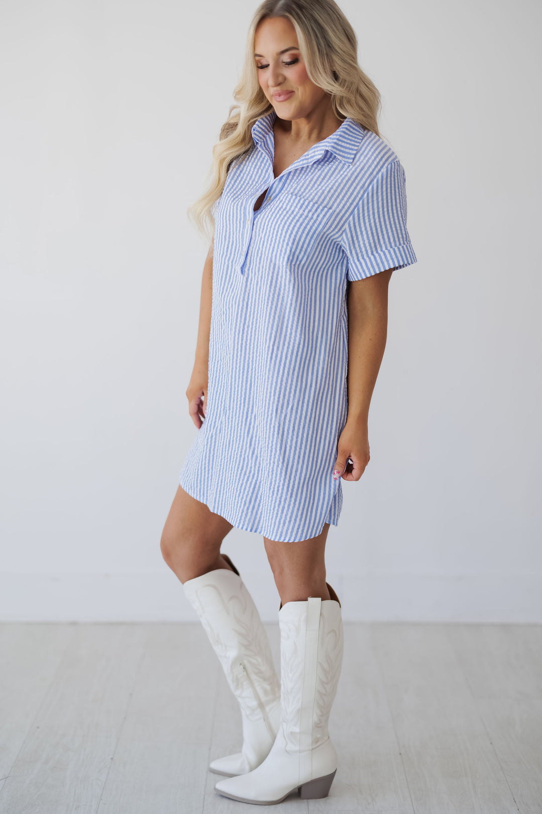Andrea Shirt Dress
